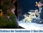 Sea Life München Sonderausstellung "Schloss der Seedrachen" eröffnete April 2011 (©Foto: Sea Life München)